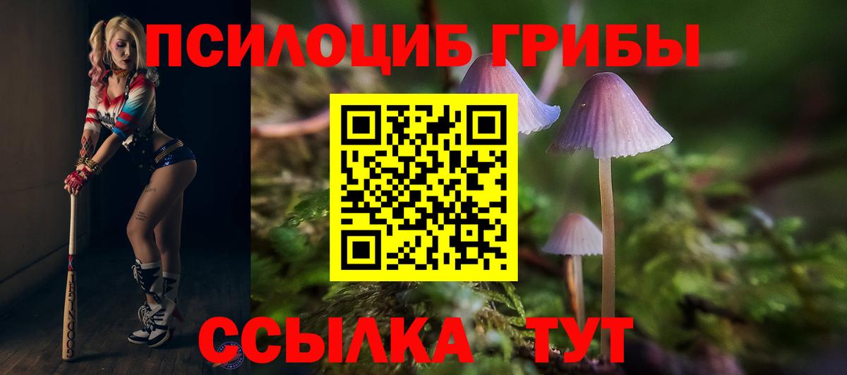 Псилоцибиновые грибы мицелий  Псилоцибиновые грибы Magic Shrooms  Ржев  Вход с VPN 